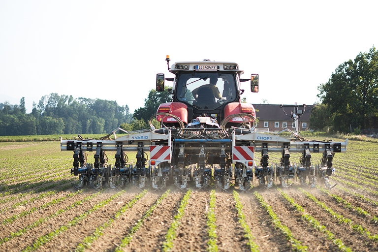 Row spacings for corn, sugar beet and soybean compared
