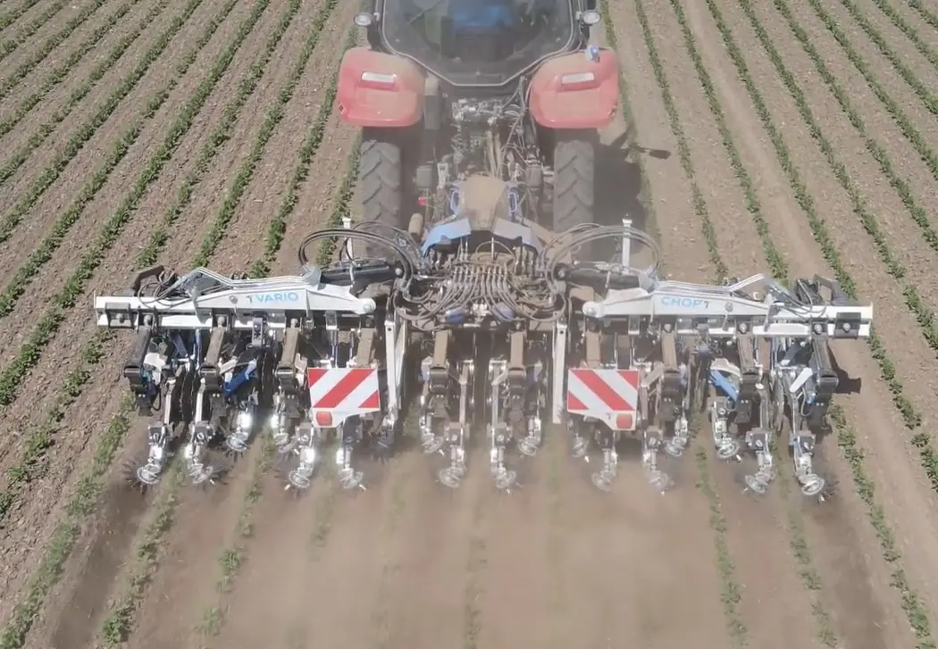 Bineuse VarioCHOP au travail au champ entre les rangs de plantes